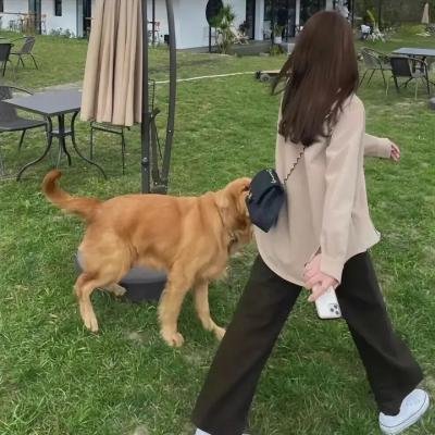 春来家事